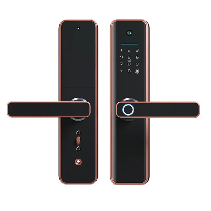 DSS DX6 PRO интеллектуальный дверной замок с камерой