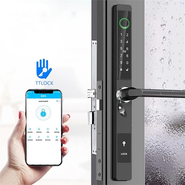 DSS D02 электронный дверной замок с Wi-Fi и BlueTooth